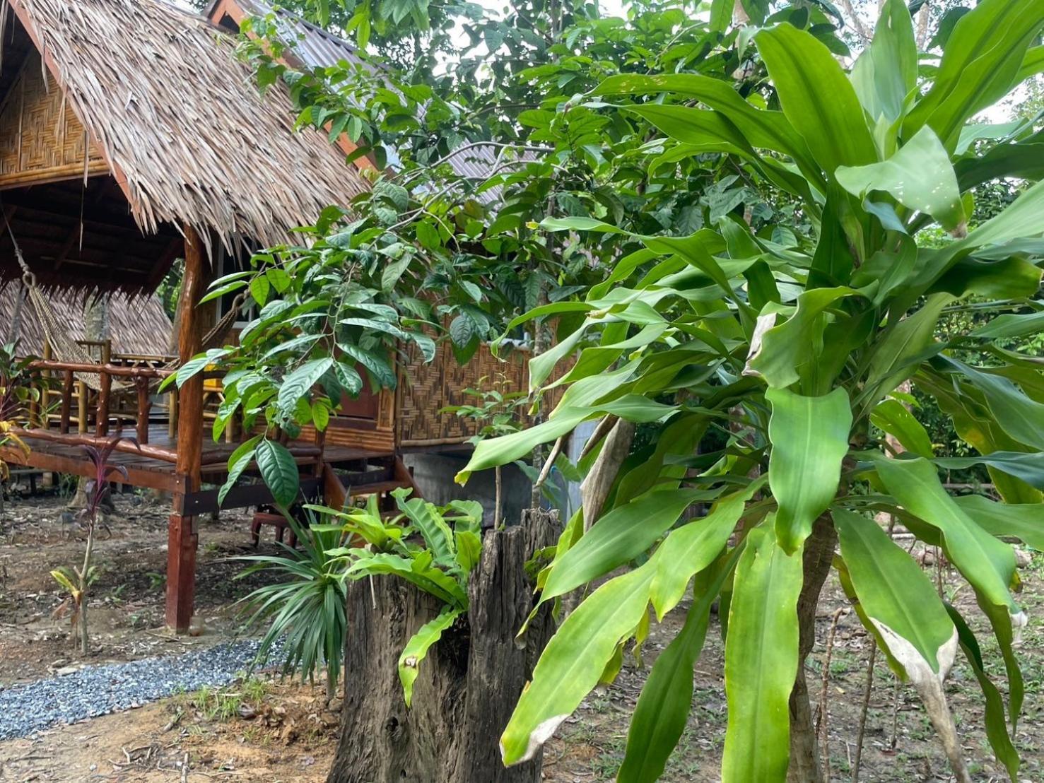 Dahla Lanta Hut Apartment Koh Lanta Exterior photo